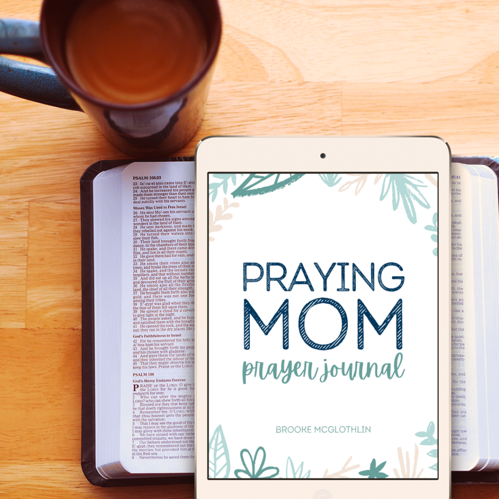 Praying Mom Prayer Journal - Million Praying Moms