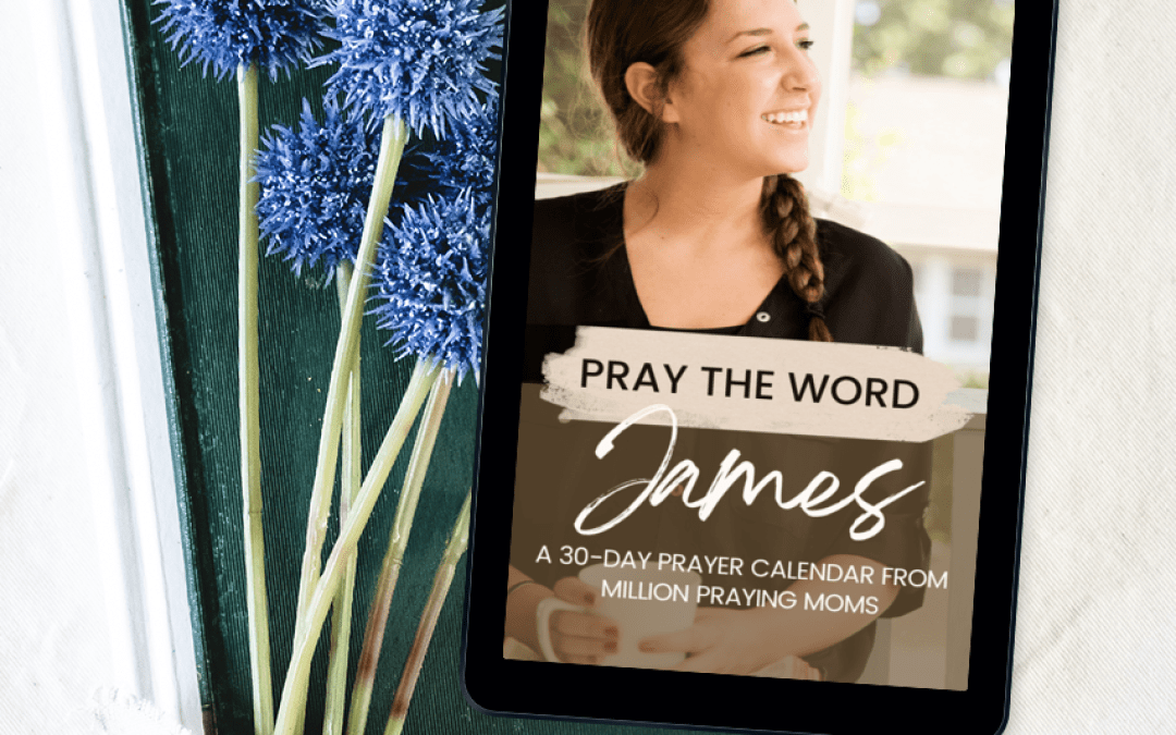 James Prayer Calendar