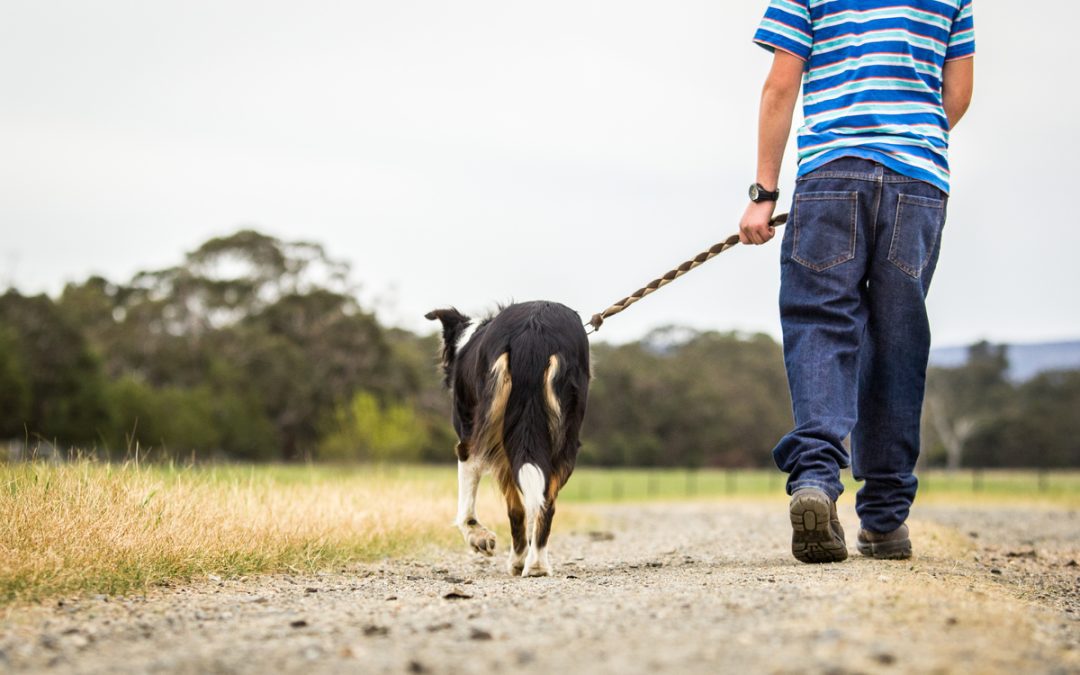 A Prayer for Walking in Integrity